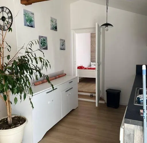 Apartment T3 Saisonnier - Frouge 46400 - Lot *